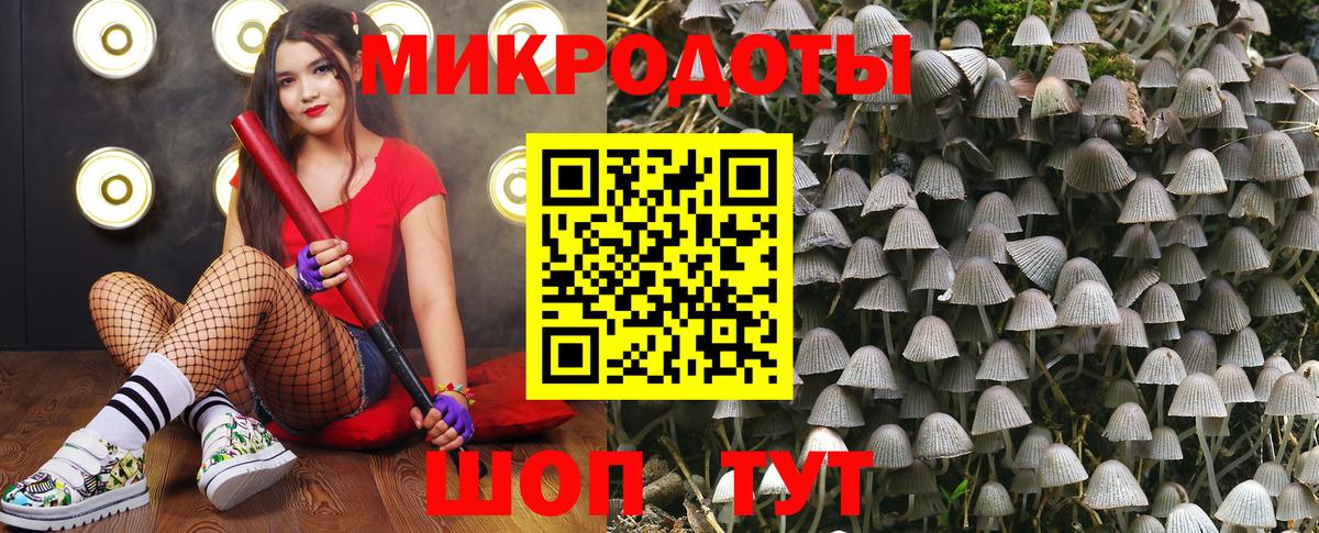 Глазов  Галлюциногенные грибы Psilocybine cubensis  что такое наркотик  Вход с VPN 